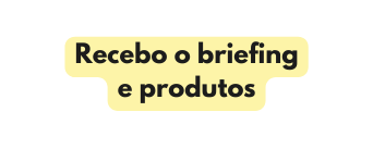 Recebo o briefing e produtos
