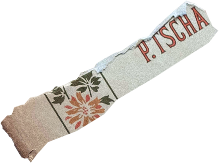 isolated  torn paper